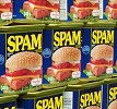 Wordpress mit NoSpamNX und Akismet gegen Spam härten