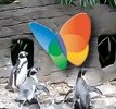 Pinguine und ein Schmetterling