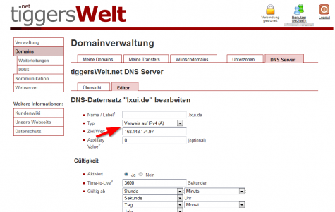 Die DNS Einstellungen beim Webhoster