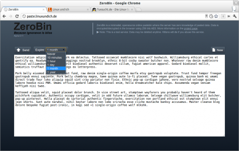 ZeroBin auf paste.linuxundich.de