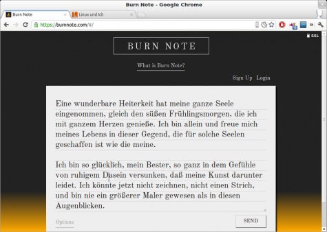 Wie bei einem Pastebin gibt man seinen Text auf der Weboberfläche ein.