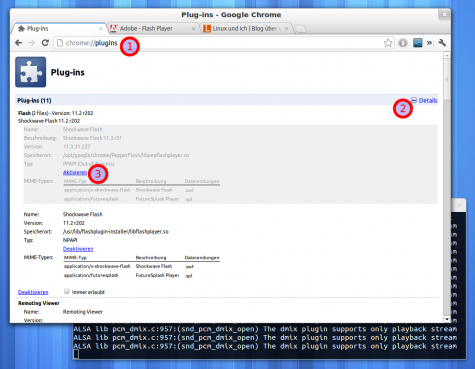Seit Chrome 20 bringt der Browser sein eigenes mit Pfeffer gewürztes Flash mit.