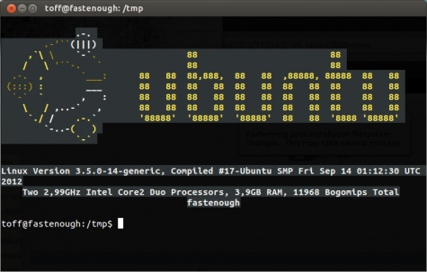 Linuxlogo gibt es in den Paketquellen von Ubuntu, erkennt aber nicht automatisch die Distro.