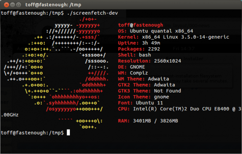 Screenfetch sucht sich automatisch das passende Logo heraus.