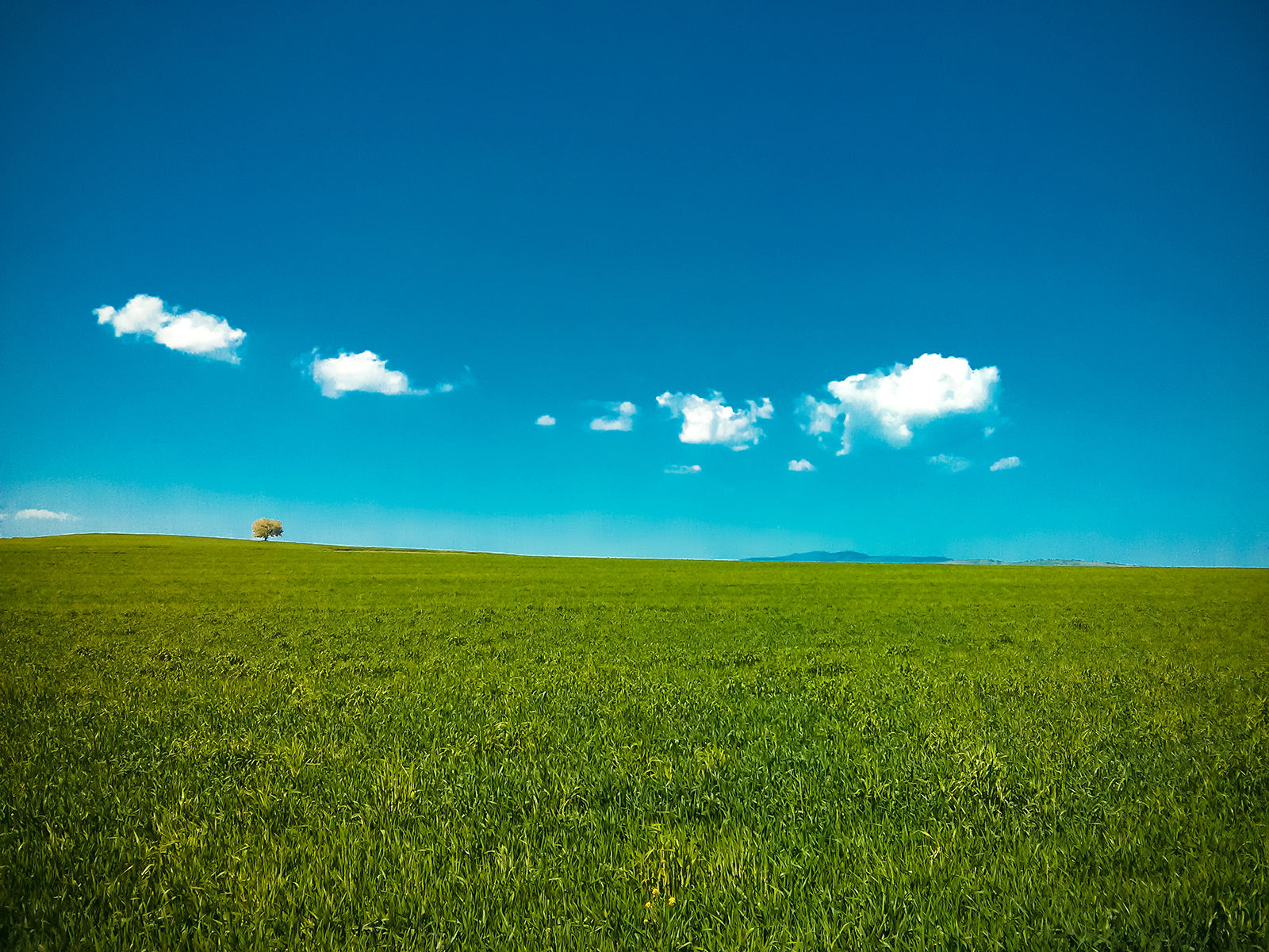 Bliss ssgi. Обои windows xp. Фон виндовс. Bliss ssgi. Bliss os 11.