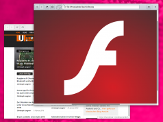 Adobe Flash Browser