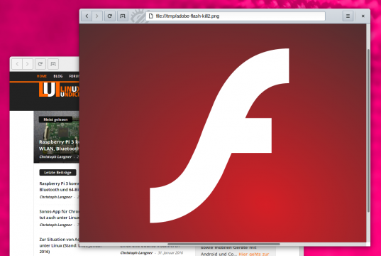 Adobe Flash Browser