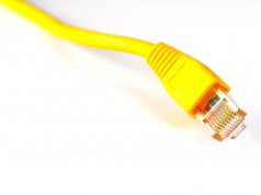 Netzwerk (forcedeth) funktioniert nach Kernel 2.6.29 nicht mehr Ethernet Cable