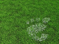 GNOME 2.28 ist da! Gnome Blumen Wiese