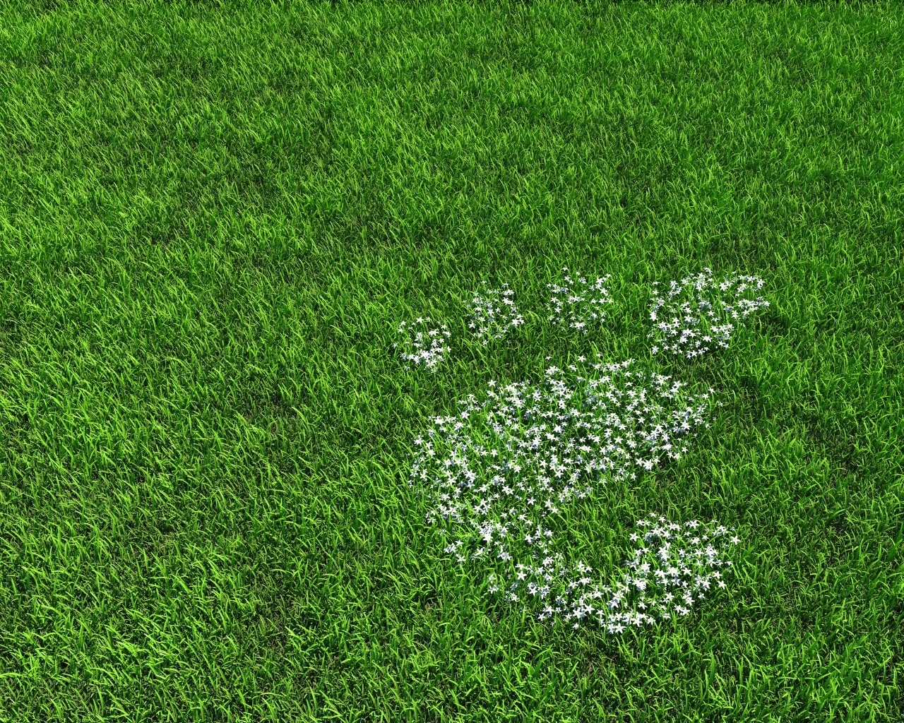 GNOME 2.28 ist da!