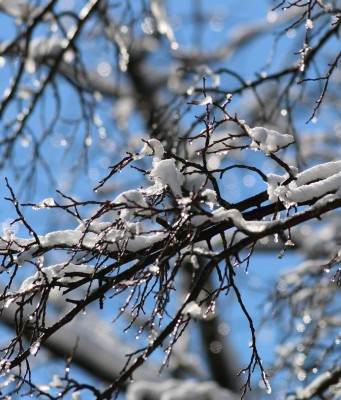 Melting Ice