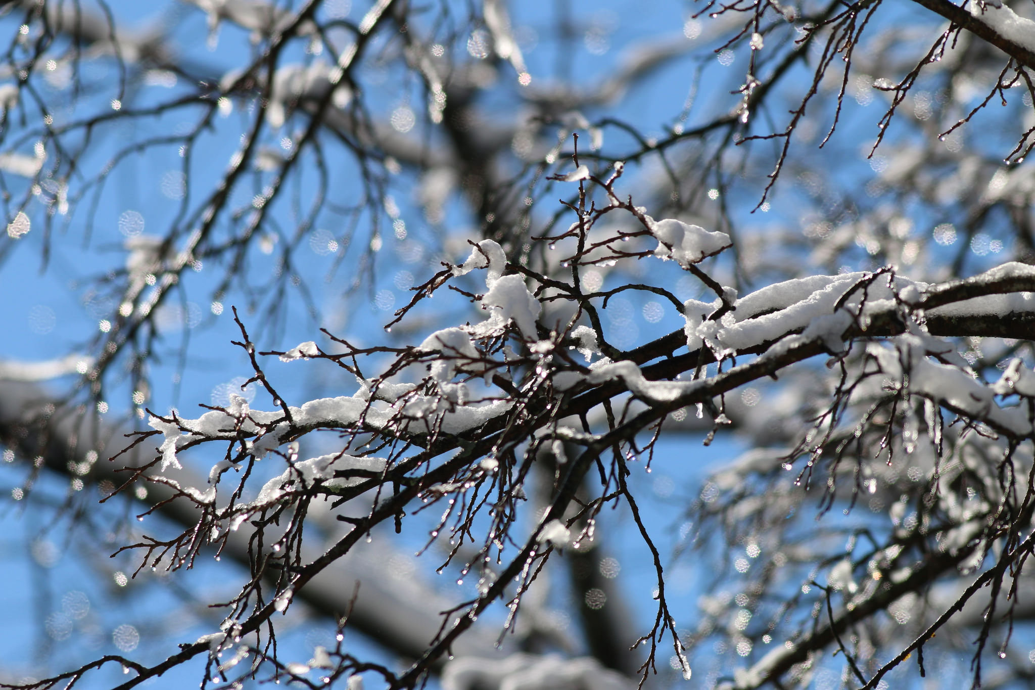 Melting Ice