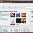Subsonic im Browser