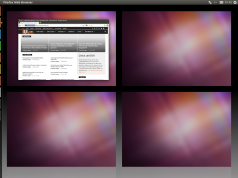 Ubuntu 11.04 Natty Virtuelle Desktops