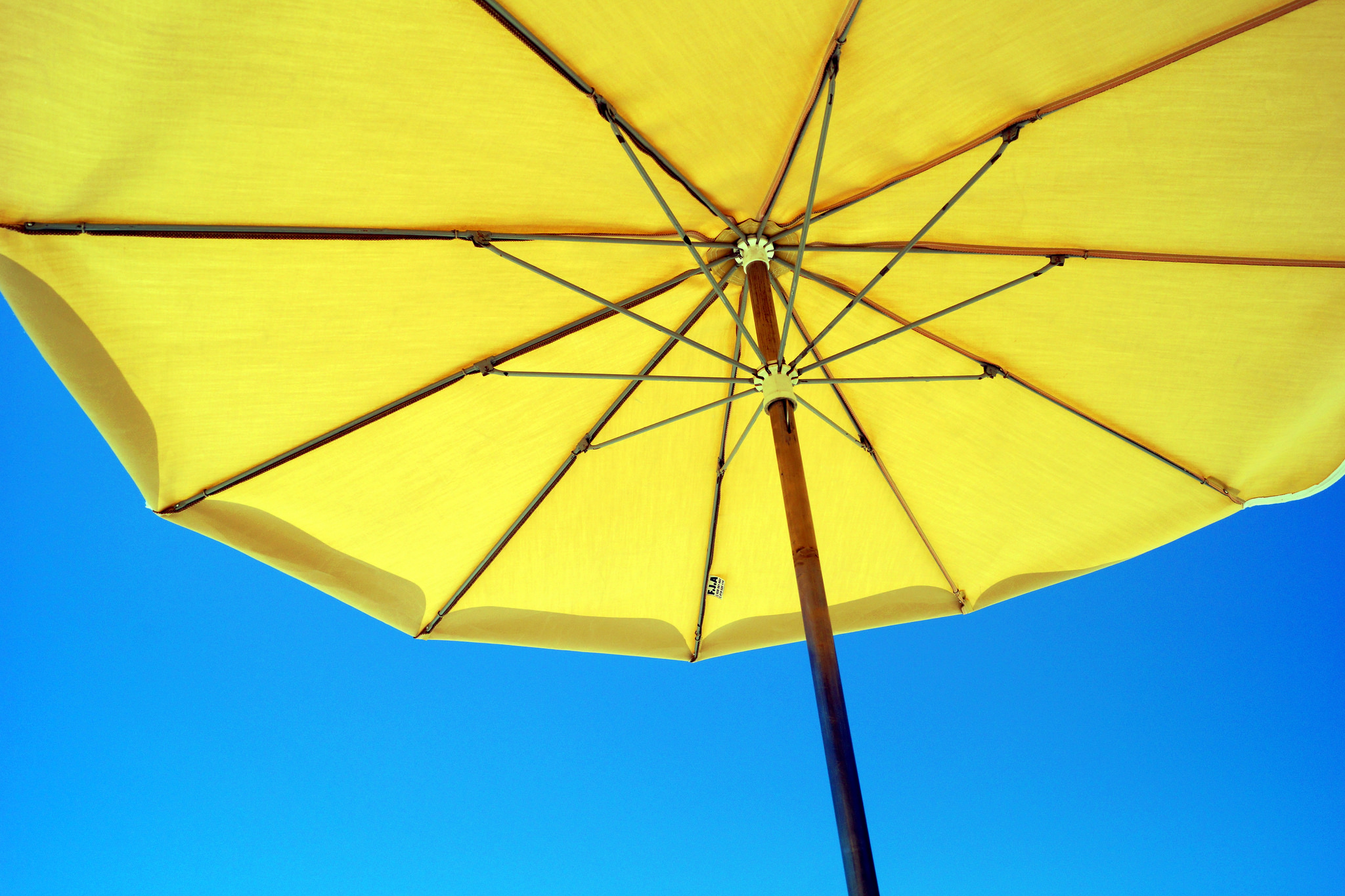 Umbrella