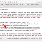 Widget in WordPress eingeben und Auth-Token hinzufügen