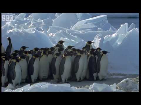 Der Tux zum Sonntag (XI)