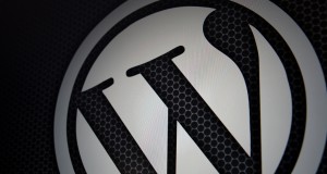 Wordpress Logo