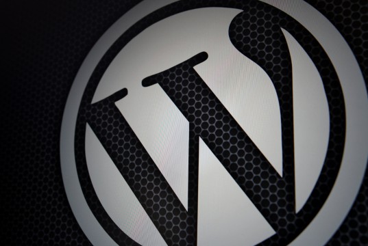 Wordpress Logo
