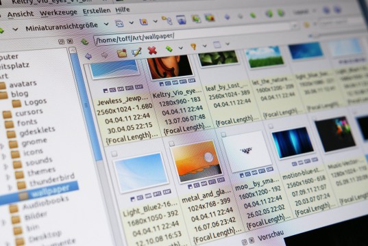 XnView unter Linux