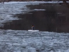 Pinguin in Heidelberg