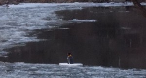 Pinguin in Heidelberg