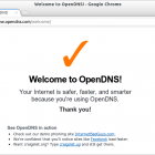 Die Prüfseite bestätigt, dass man die Namensauflösung über OpenDNS erfolgt.