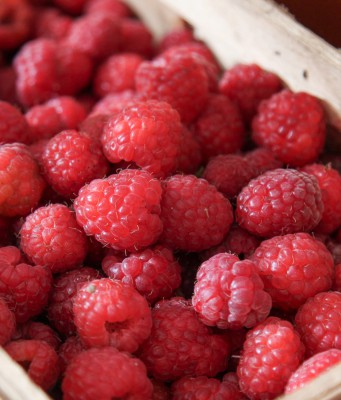 Himbeeren