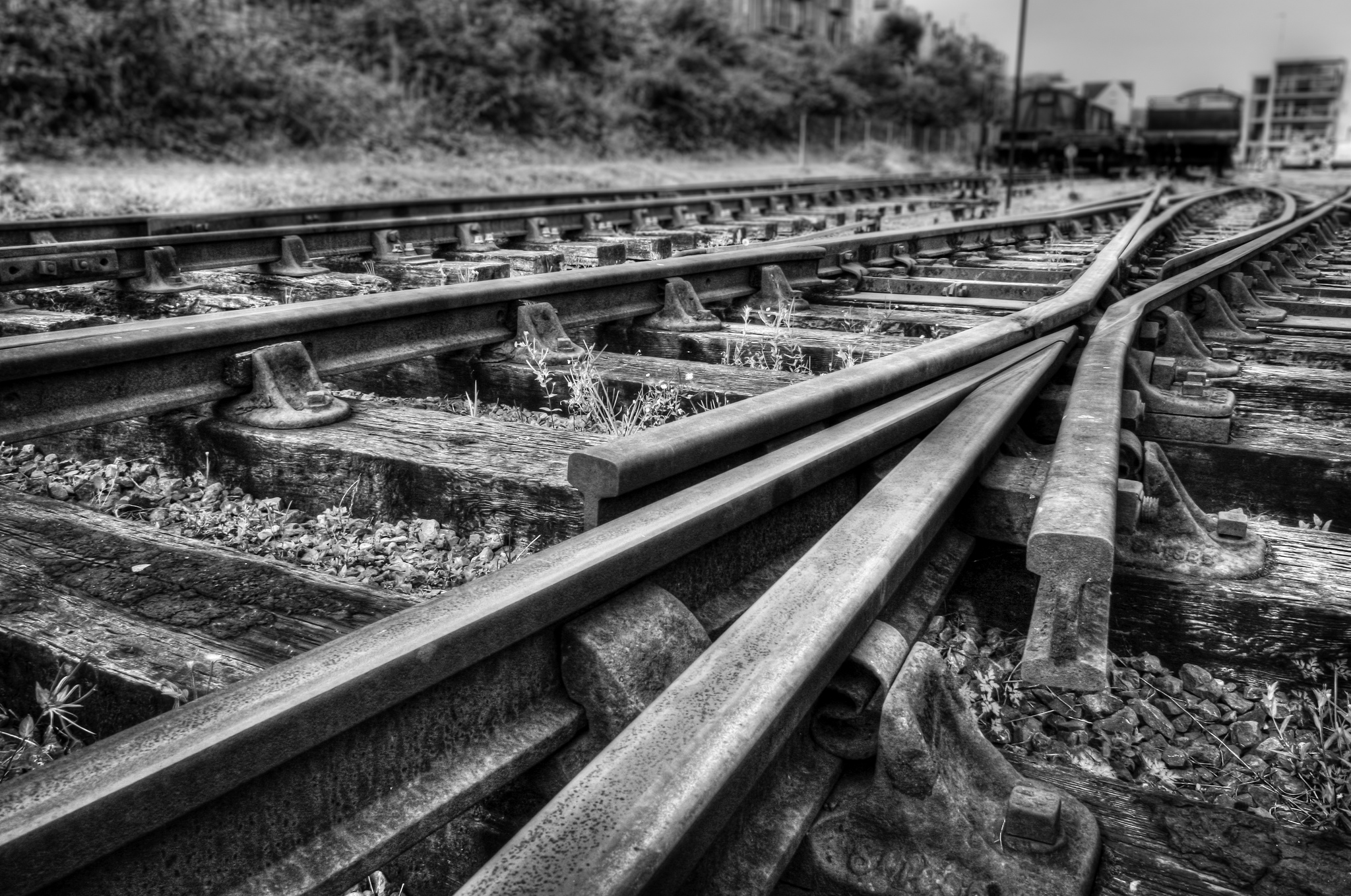 Bug in WP DoNotTrack 0.7.1 verhindert das Ausführen externer Scripte wie bspw. von Adsense