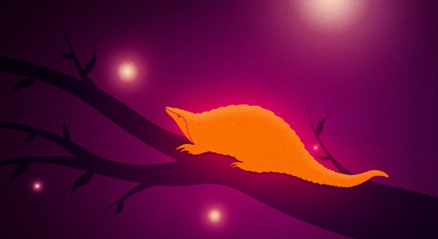 Ubuntu Pangolin