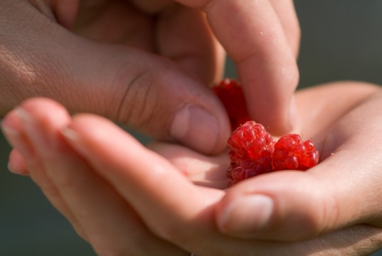 Raspberry Hand