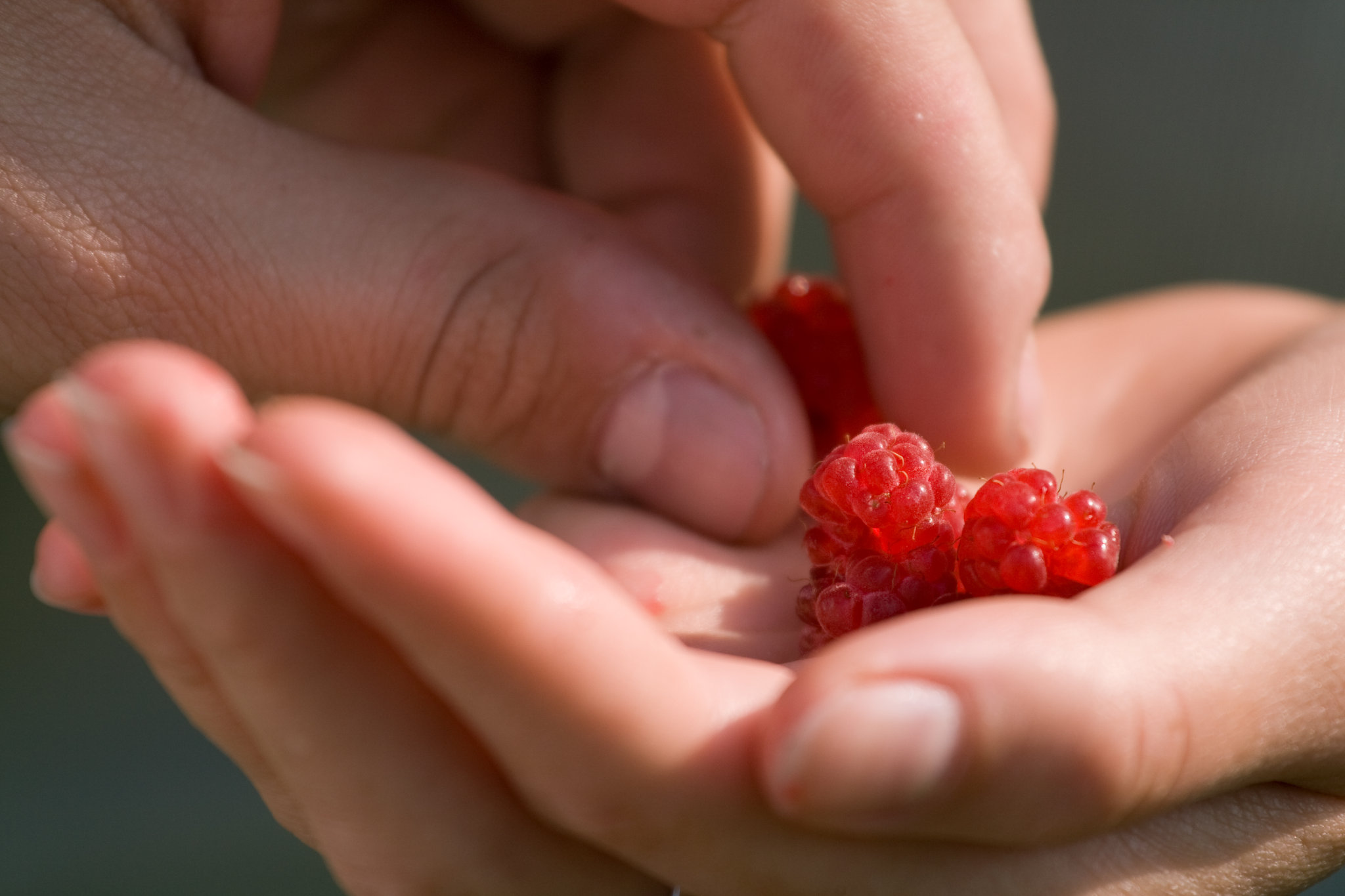 Raspberry Hand