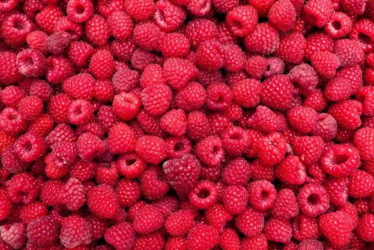 Himbeeren