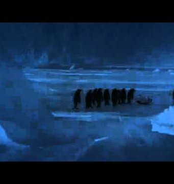 Der Tux zum Sonntag (XVII)