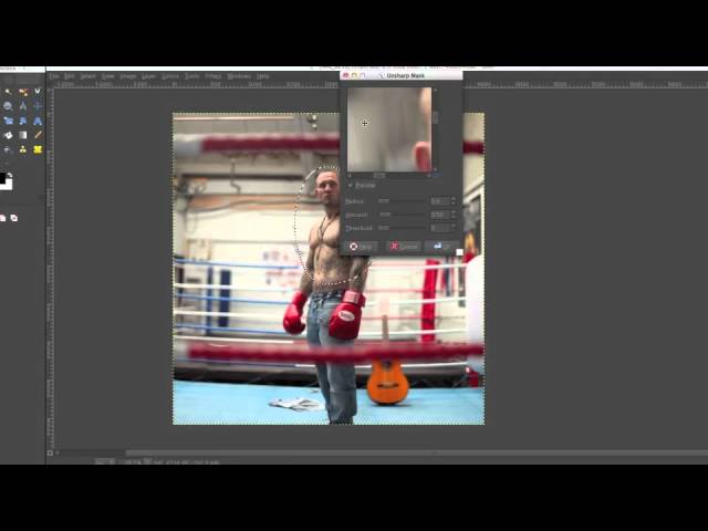 Professionelle Video-Tutorials für die Bildbearbeitung mit GIMP von Roise Hardy