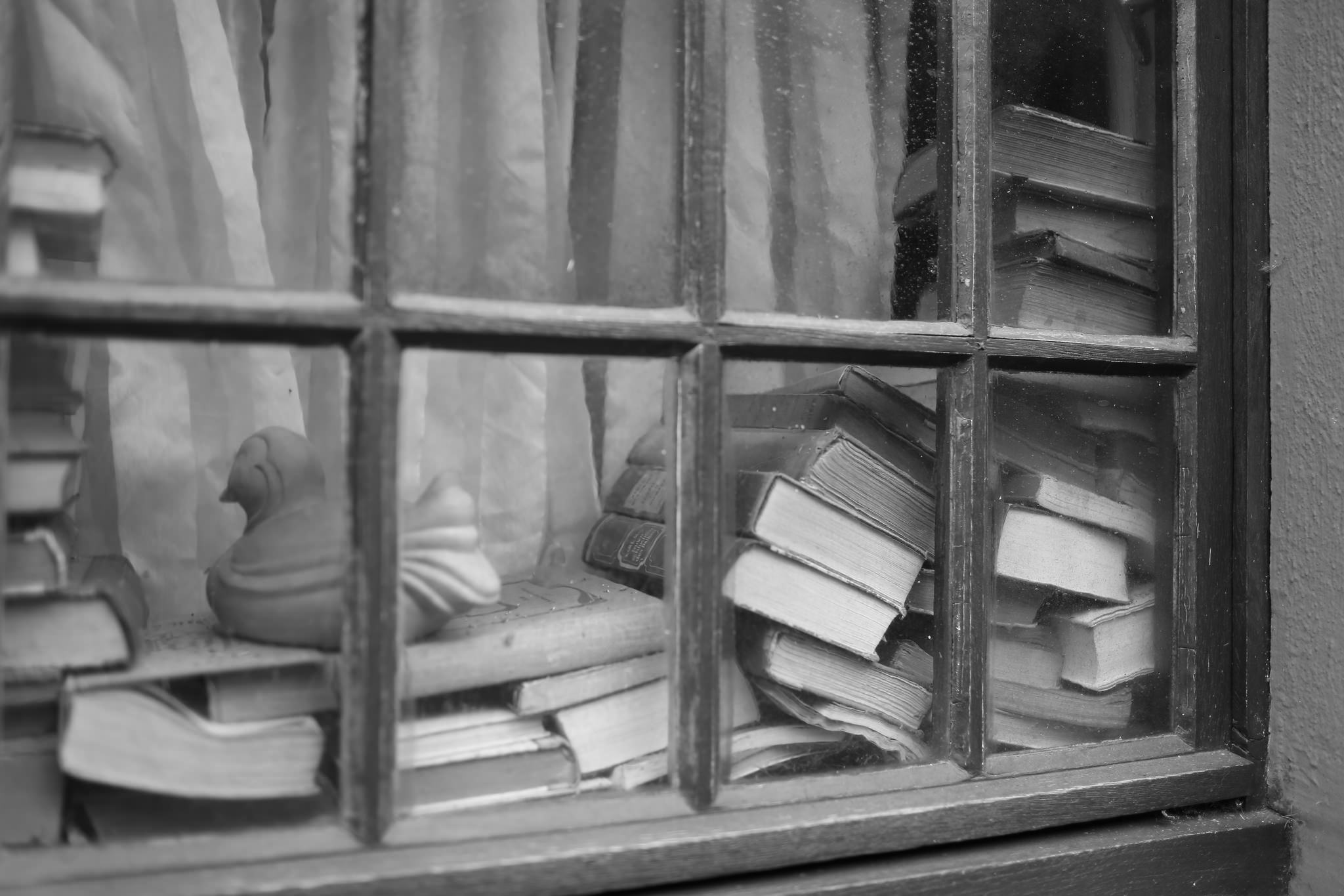 Bücher im Fenster