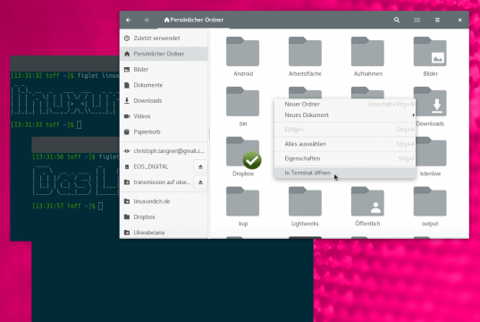 Nautilus open Terminal