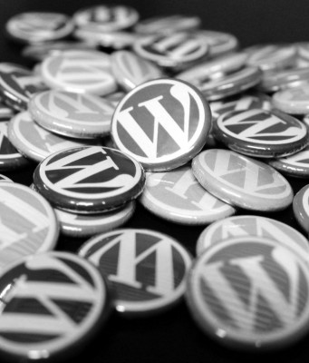 Google veröffentlicht Publisher-Plugin für WordPress mit AdSense and Webmaster Tools Wordpress Buttons