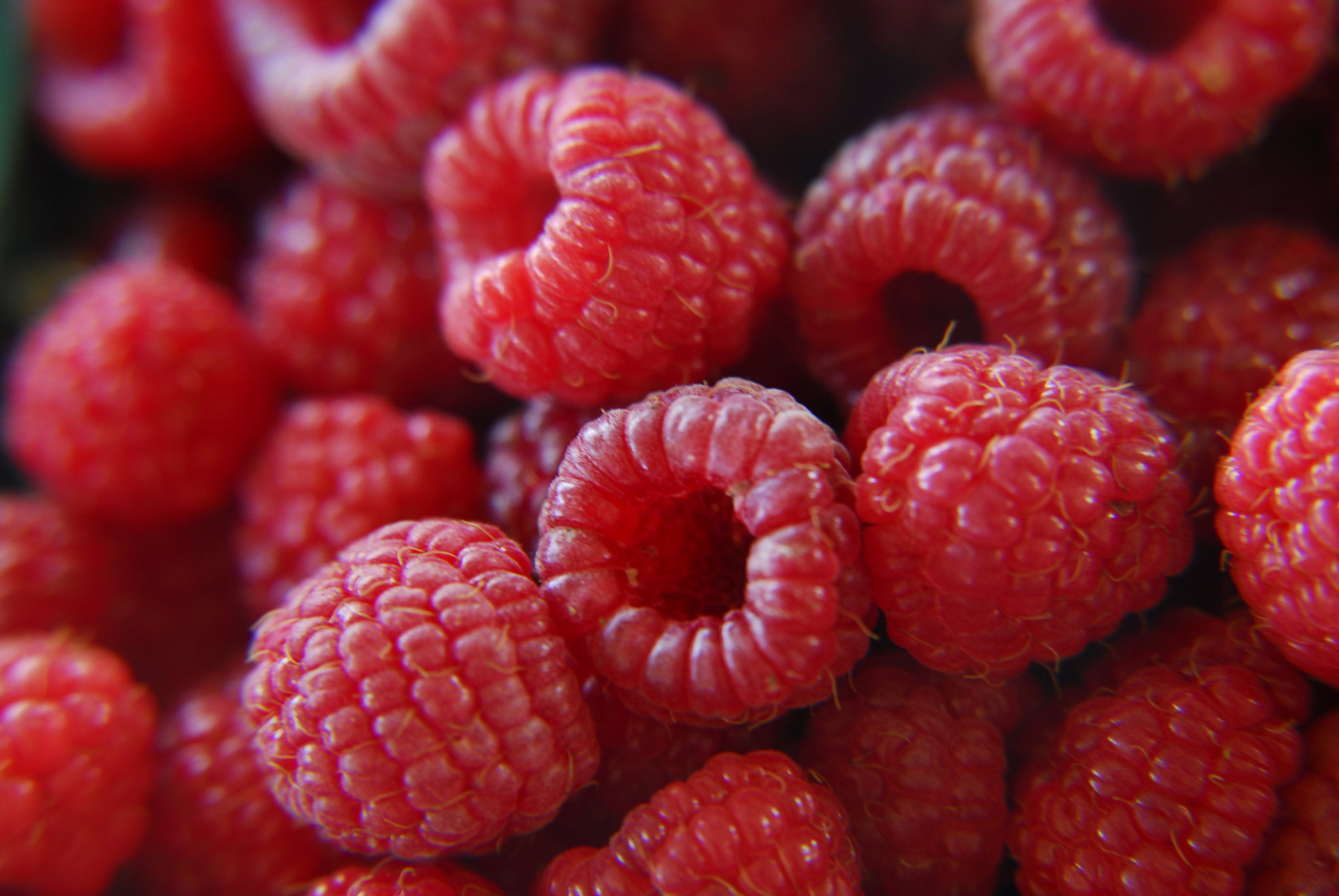 Maxdome, Watchever oder Amazon Instant Video und der Raspberry Pi
