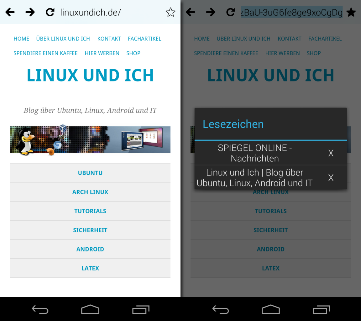 Der Lucid-Browser bietet nicht viele Funktionen, baut dafür Webseiten extrem flink auf.
