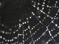 Perl-Pakete unter Arch nicht installierbar? search.cpan.org zu metacpan.org umleiten! Pearls