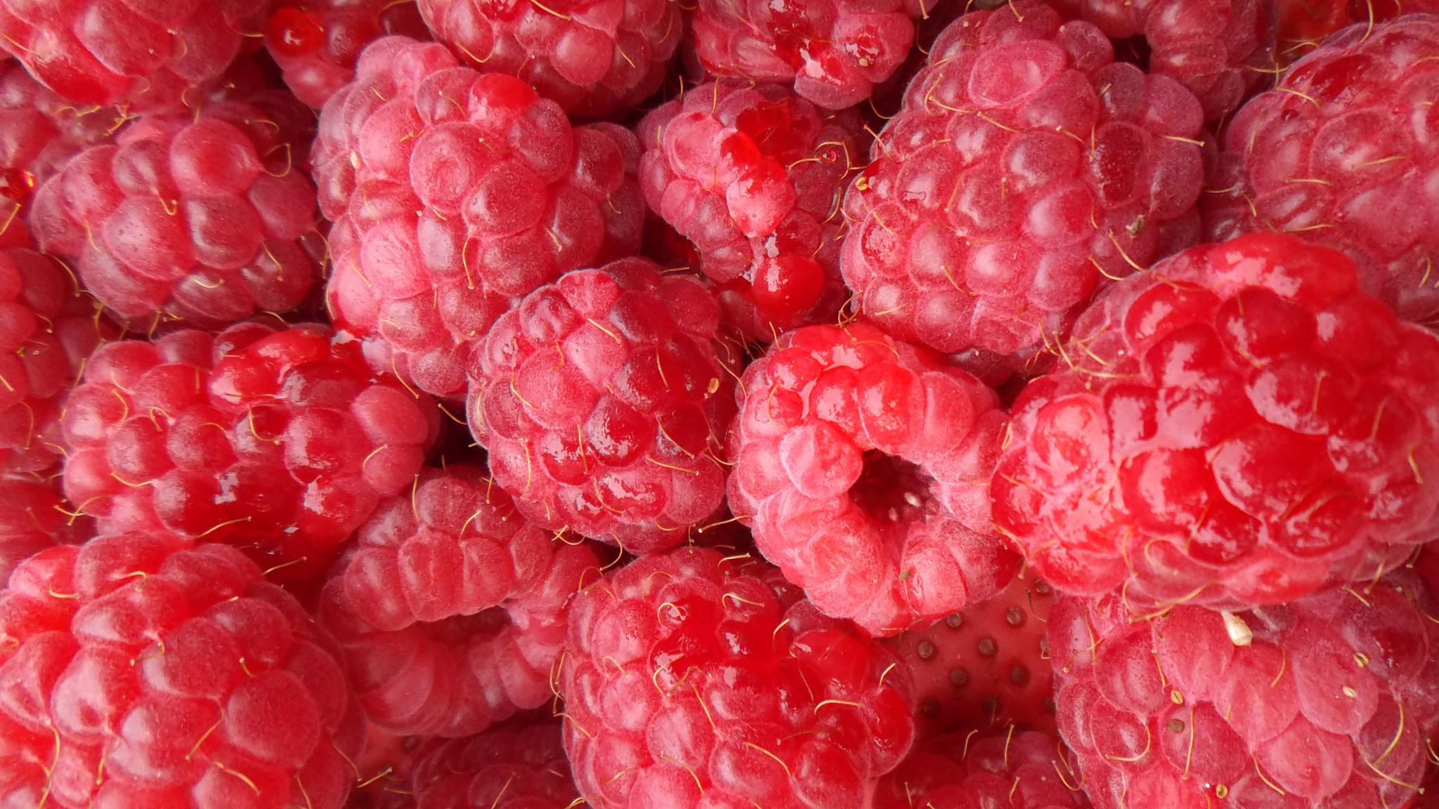 Raspberry Pi Model B+, lohnt sich der neue RasPi?