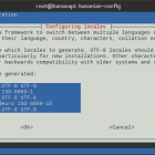 bananian-config3
