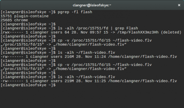 Flash-Videos mit Linux-Bordwerkzeugen auf die Festplatte herunterladen.