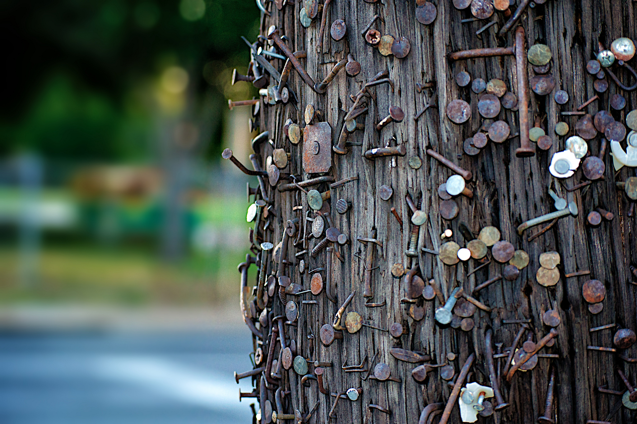Antispam Bee, Cachify, wpSEO… Sergej Müller hängt sein WordPress-Engagement an den Nagel