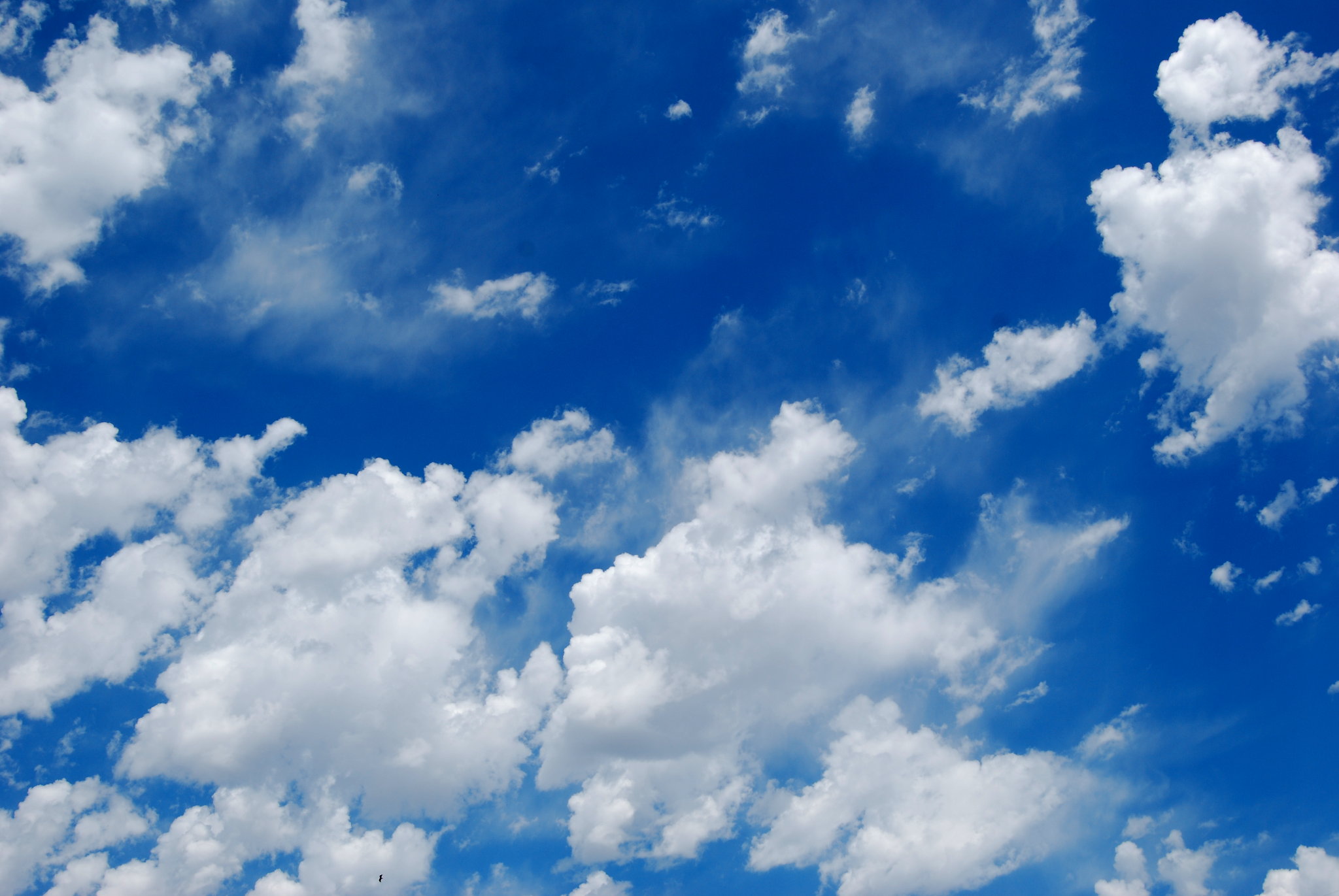 Kostenloser Linux-Desktop in der Cloud: LabxNow