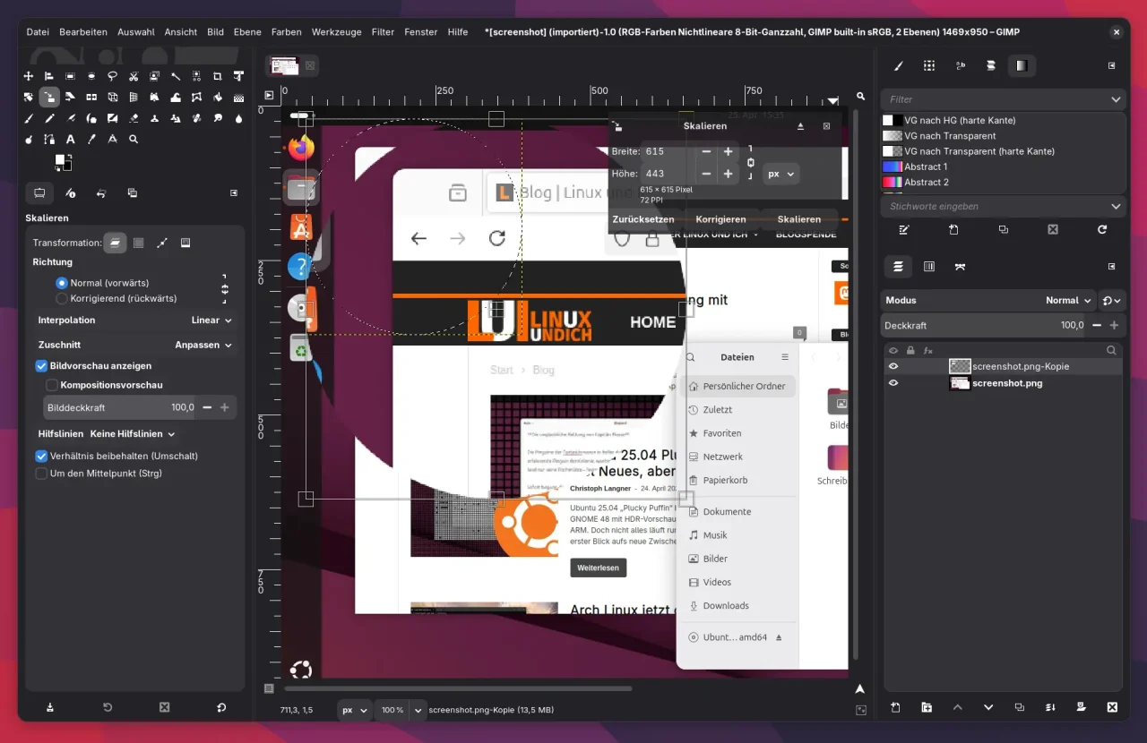 Vergrößert den ausgewählten Bereich, um den gewünschten Lupeneffekt zu erzielen. Achten Sie darauf, das Seitenverhältnis der Auswahl beizubehalten.