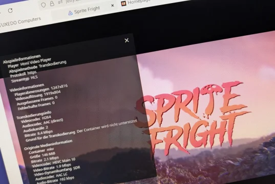 Screenshot eines Video-Players mit dem Titel 'SPRITE FRIGHT' und technischen Informationen auf der linken Seite, einschließlich Video- und Audioformaten.
