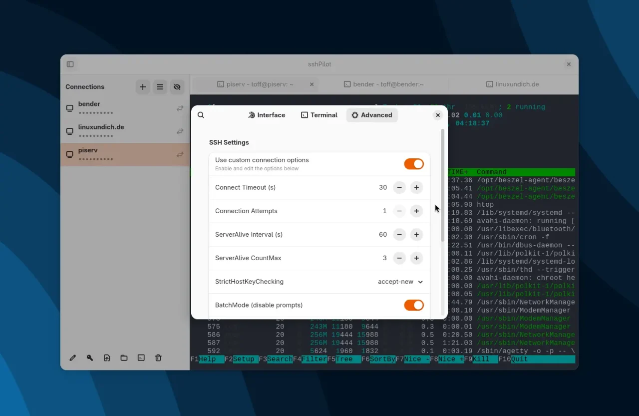 Einstellungen für SSH-Pilot im Tab'Erweitert'. Sichtbare Optionen:'Benutzerdefinierte Verbindungsoptionen','Verbindungszeitüberschreitung','Verbindungsversuche','Server-/Client-Zählung','Sicherheitsüberprüfung','Batchmodus'.