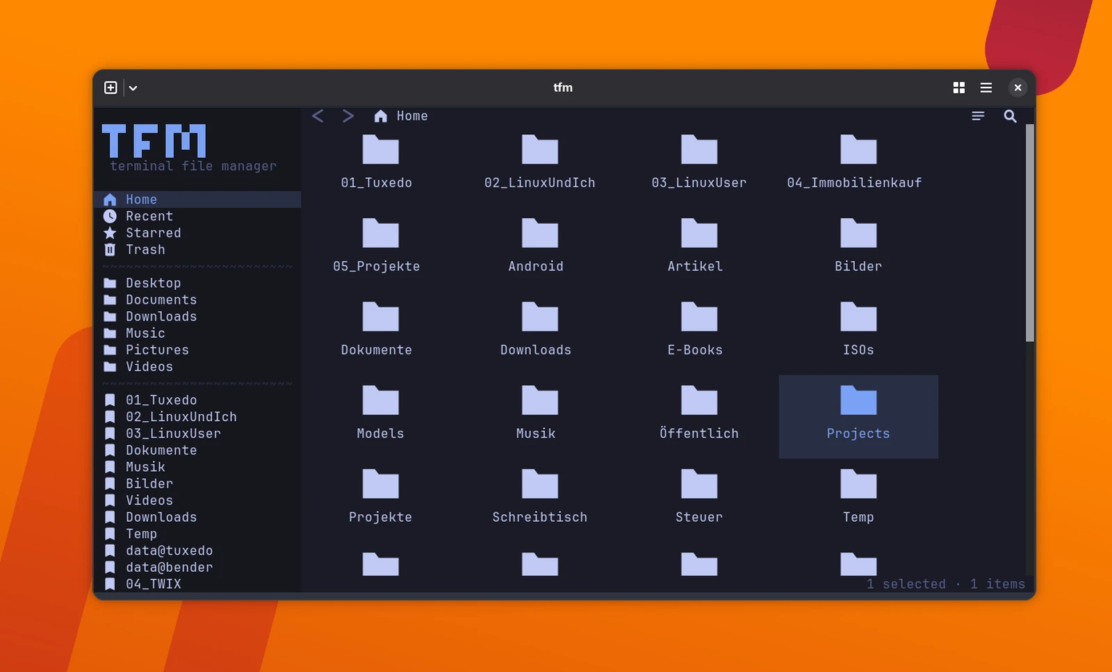 tfm beim Start unter Arch Linux mit Seitenleiste und Dateiansicht. Die Oberfläche erinnert dabei an klassische grafische Dateimanager.